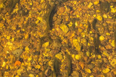 Nehir taşları akan sulara bakıyor.