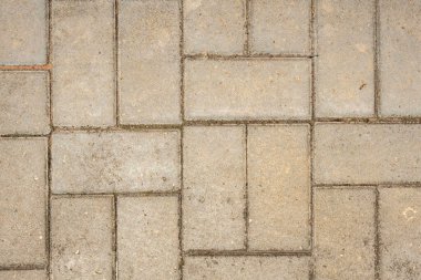 Yaz aylarında güzel sahil peyzaj