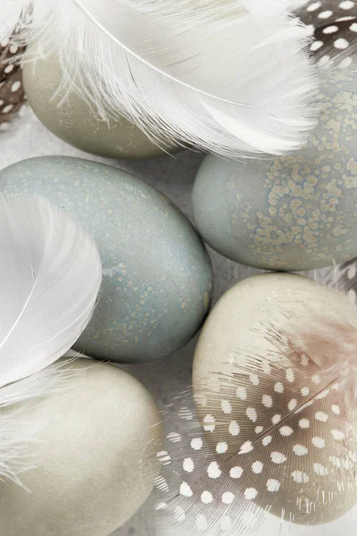 Gri arka planda yumurta ve tüyler. Paskalya kutlaması kavramı
