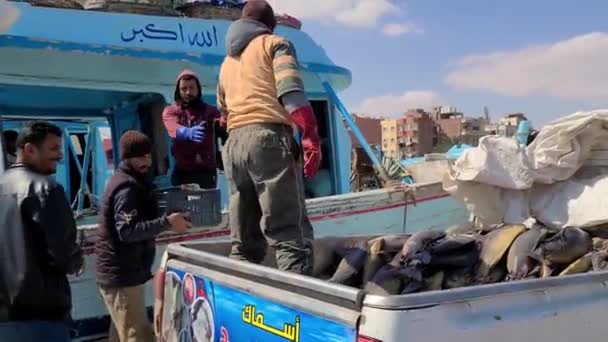 HURGHADA, EGYPT - 19 Şubat 2022: adamlar yakaladıkları balıkları arabaya yüklüyorlar. Teslimat için hazırlanılıyor — Stok video