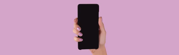 Womans Hand Lavender Manicure Holding Smartphone Blank Screen Online Business — Stock fotografie