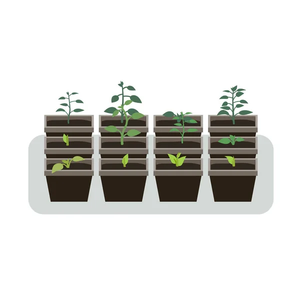 Growing seedlings in pots for the spring season. Royalty Free Stock Vectors