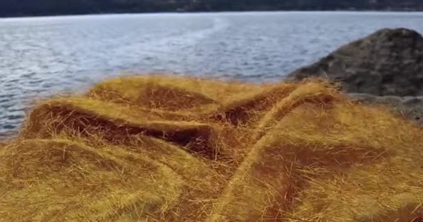 Mouvement Harmonieux Tissu Doré Sur Rocher Lac — Video