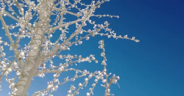 青い空にクリスタルやライトで飾られた白い木 — ストック動画