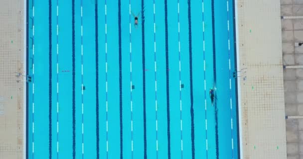 Αεροφωτογραφία Των Σπορ Κολυμβητών Προπόνηση Στην Πισίνα Καθαρά Μπλε Νερά — Αρχείο Βίντεο