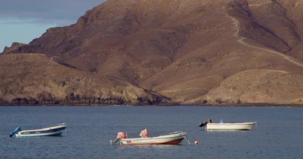 Las Playitas Kıyılarına Demirlemiş Küçük Ahşap Balıkçı Tekneleri Tekneler Denize — Stok video