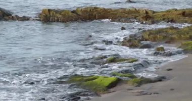 Kanarya Adaları 'ndaki Fuerteventura volkanik adasının doğu kıyısındaki Las Playitas sahil kasabasının güzel yakın görüntüsü. İspanya