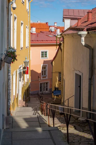 Paysage Urbain Tallinn Célèbre Rue Vieille Ville Jambe Courte Estonien — Photo