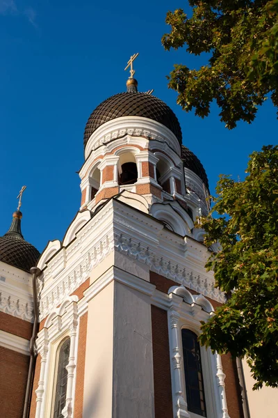 Alacsony Látószögű Kilátás Alexander Nevsky Katedrális Tallinn Óvárosában Egy Napos — Stock Fotó