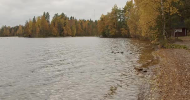 Prachtige Herfst Natuur Landschap Een Meer Groenachtig Gelig Bos Een — Stockvideo