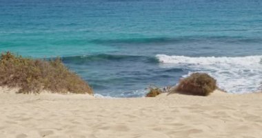 Corralejo sahilinin güzel manzarası ve Fuerteventura, İspanya 'da turkuaz suyu olan kumullar. Kuru çalılar sahilde ötüyor.