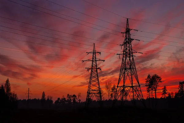 Estonya Kırsalında Günbatımında Sonbaharda Elektrik Direkleri Arka Planda Dramatik Bir — Stok fotoğraf