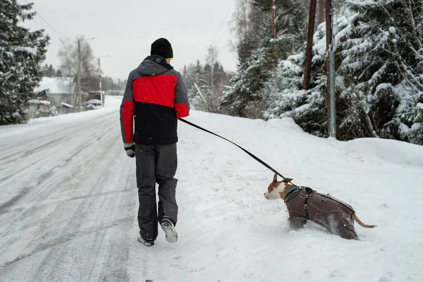 Back View Young Caucasian Man Walking His Dog Winter Road — Stockfoto