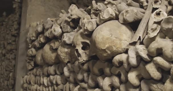 Paris Yeraltındaki Insan Kafatası Kemiklerinin Yakın Çekim Görüntüleri — Stok video