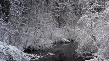 Hava aracı, yumuşak karla kaplı ağaçlar arasında küçük bir nehrin üzerinde alçaktan uçuyor. 4K çözünürlük. Kış manzarası
