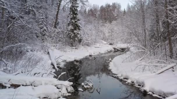 Drohne Aus Der Luft Fliegt Tief Über Einem Kleinen Fluss — Stockvideo