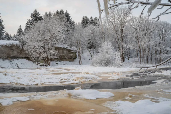 Красивая Замерзшая Река Ягала Эстонская Йгала Облачным Зимним Утром Эстония — стоковое фото