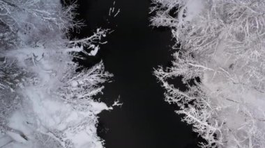 Soğuk bir kış gününde, karla kaplı güzel ağaçların ve nehrin yukarıdan aşağıya bakan görüntüsü..