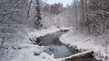 Hava aracı küçük bir nehrin üzerinde alçaktan uçuyor. Ağaçlar arka planda tüylü karla kaplıdır. 4K çözünürlük. Kış manzarası