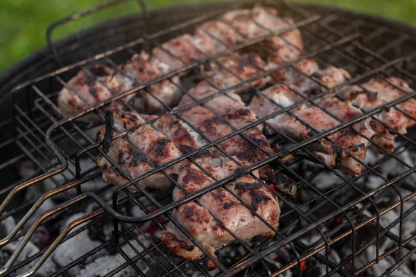 グリルで味付けされた豚肉の眺め バーベキューグリルの外で肉を焼く 夏の屋外グリルパーティー 夏の晴れた日 — ストック写真