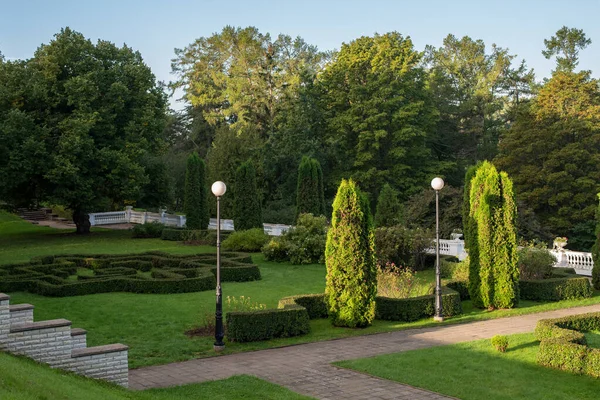 Oru Park Güneşli Bir Yaz Sabahı Puhajogi Nehri Nin Güzel — Stok fotoğraf