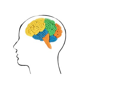 Beyaz arka planda insan beyin anatomisinin kil modeli. Erkek silueti. Boşluğu kopyala