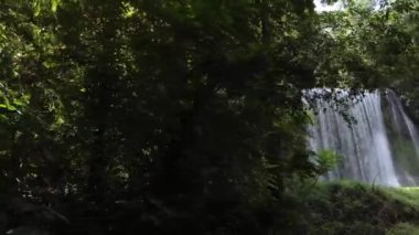 Güneşli bir günde ağaçların altındaki şelaleden