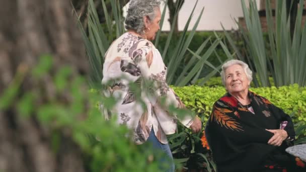 Feliz Idade Feminino Abraçando Beijando Irmã Cabeça Seguida Sorrindo Olhando — Vídeo de Stock