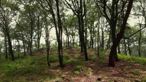 Letecký Zoom Výhledem Vysoké Stromy Nepoznatelnou Samici Proutěným Košíkem Hub — Stock video