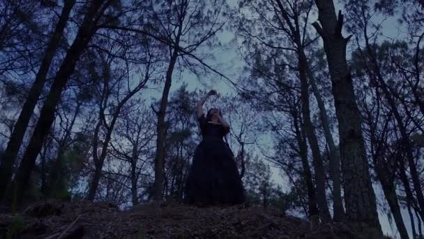 夜に森の中で夢のように踊る長い黒のドレスで優雅な魔女の下から — ストック動画