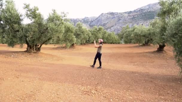 Ganzkörper Reisenden Die Olivenhain Spazieren Während Sie Grüne Bäume Auf — Stockvideo