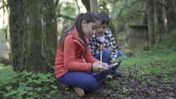 ペンとノートパッドを持つ民族の少女は 森の中の土地に座っている間 拡大鏡でシダの葉を調べる弟に対して — ストック動画