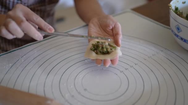 在厨房准备传统的中国饺子时 身穿休闲装 围裙用肉填饱饺子的作物妇女 — 图库视频影像