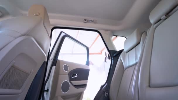 Positive Beifahrerin Öffnet Tür Des Autos Und Grüßt Fahrer Während — Stockvideo