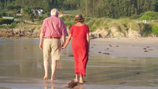 Zadní pohled na nerozeznatelný bosý starší pár ve slunečních brýlích stojící na mokré písečné pláži a užívající si slunečného dne
