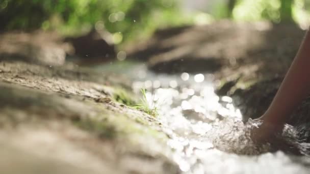 Gröda Oigenkännlig Hona Vidrör Klart Vatten Flod Som Rinner Naturen — Stockvideo