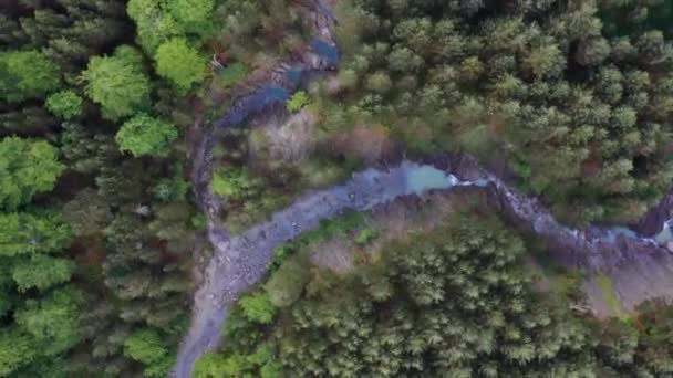 Widok Powietrza Płytkie Skaliste Potoki Przepływające Przez Zieloną Dolinę Leśną — Wideo stockowe
