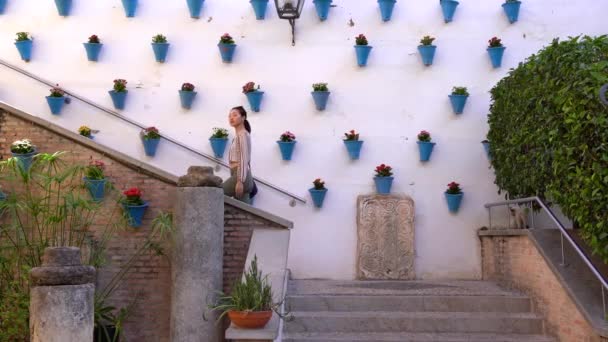 Atraente Turista Asiática Andando Escadaria Perto Parede Enquanto Observa Várias — Vídeo de Stock