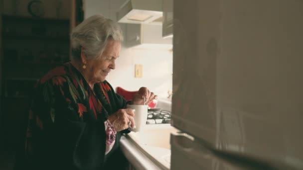 Vue Latérale Une Femme Âgée Souriante Dans Châle Chaud Avec — Video