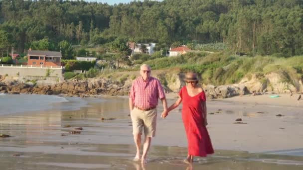 Sourire Pieds Nus Couple Âgé Dans Des Lunettes Soleil Debout — Video