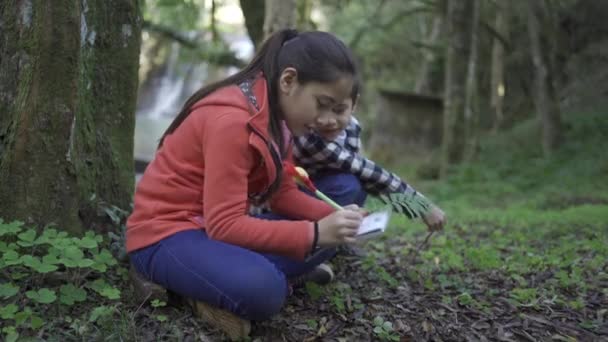 带着钢笔和记事本的少数民族女孩和坐在树林里的土地上用放大镜检查蕨叶的兄弟 — 图库视频影像