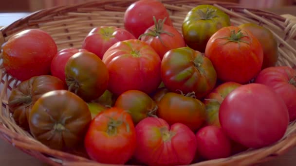 Högen Med Färska Tomater Korg Placerad Bordet Rustikt Kök Skördesäsongen — Stockvideo
