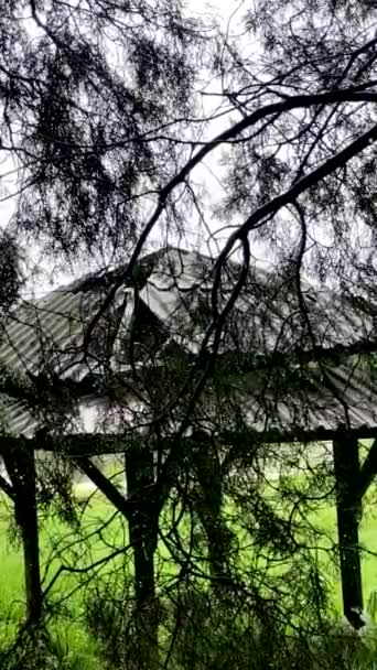 森林雨季 中的老Gazebo — 图库视频影像