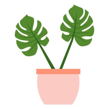 Pembe vazoda iki büyük yaprağı olan canavar.