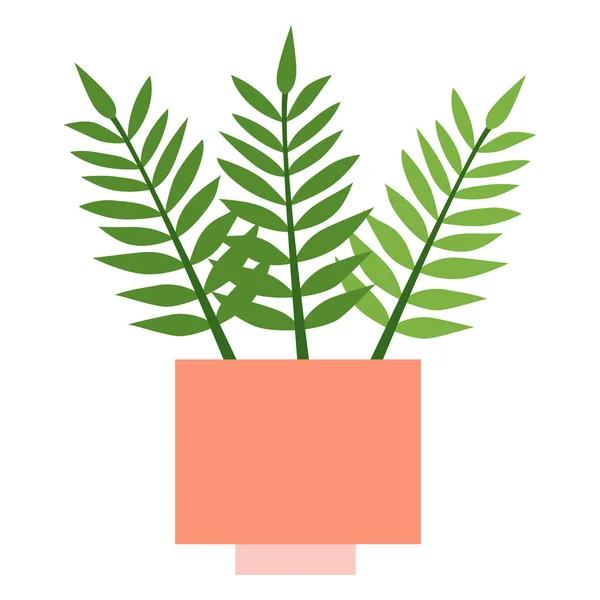 Fern with three leaves in pink square flower pot — стоковый вектор