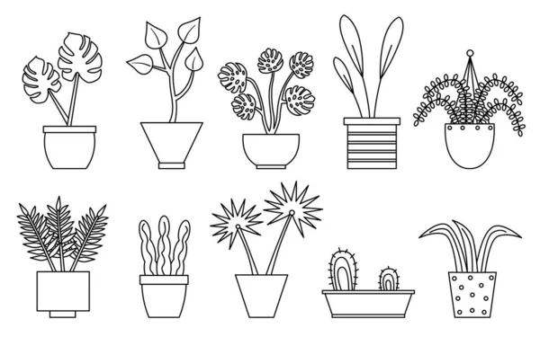 Cactus, sansevieria, monstera, set pot de fleurs de fougère — Image vectorielle