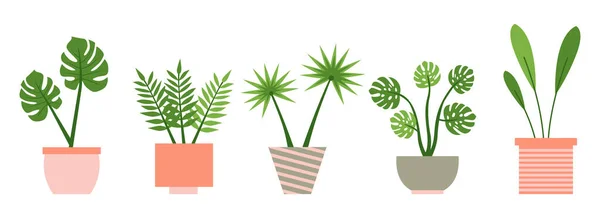 Palmier, sansevieria, monstera, fougère, ensemble plat de fleurs — Image vectorielle