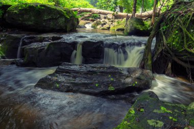 Phnom Kulen Milli Parkı