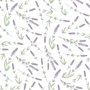 Lavender flowers and branches on a white background seamless pattern. Vector illustration for wallpaper, website background and landing page, fabric and paper print.