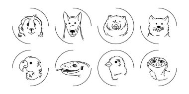 Evcil hayvan ve kuş ağızlık. Hayvanların doğrusal illüstrasyonlarının vektör koleksiyonu.